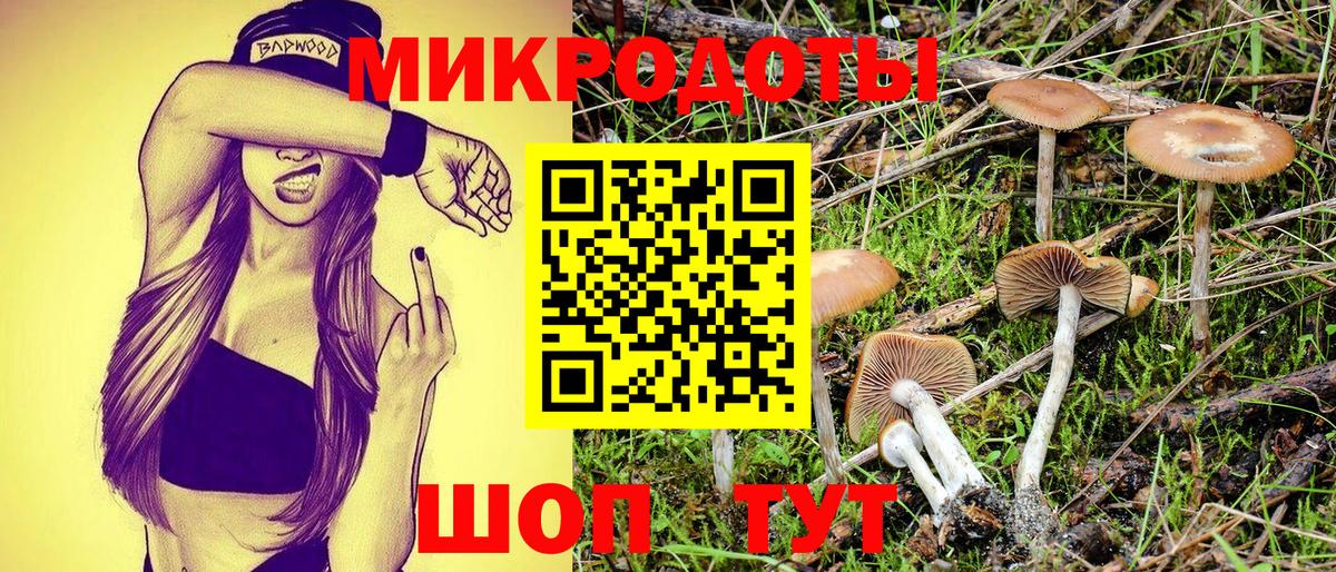 Псилоцибиновые грибы Psilocybine cubensis  Псилоцибиновые грибы Psilocybine cubensis  Дальнегорск  Вход с VPN 