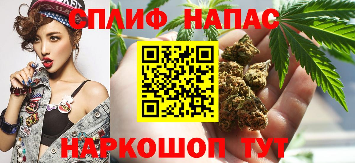 Бошки Шишки гибрид Дальнегорск